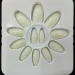 Almond Glitter Press On Nails – Reusable Medium Length Salon Quality 10