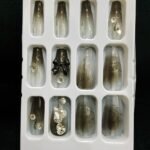 Coffin 3D Press On Nails -- Pre glued/Reusable 1